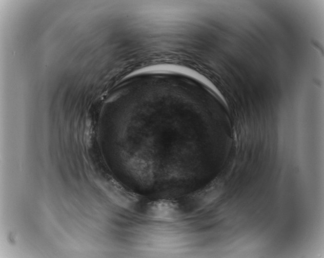 X0000099520223200805151533
