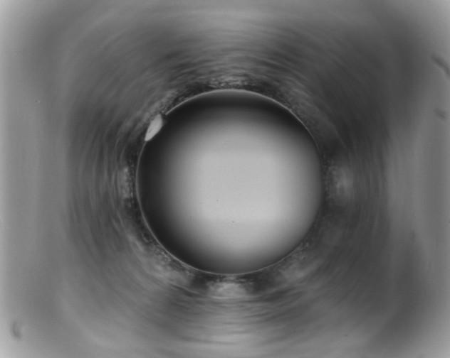X0000099520224200805151533