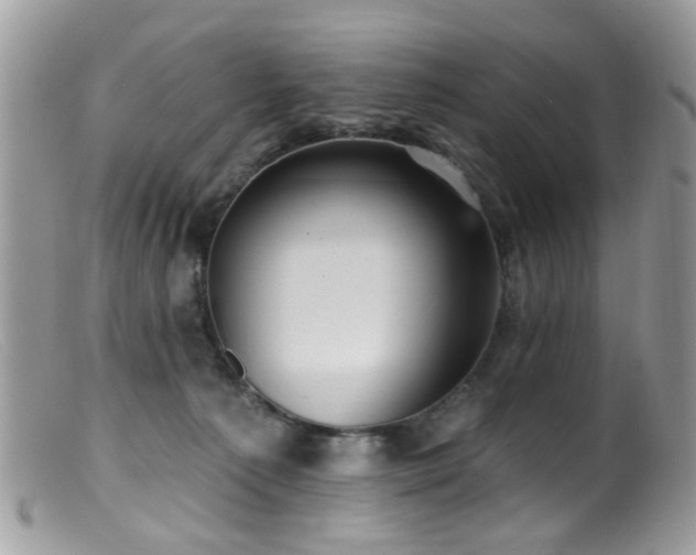 X0000099520225200805151533