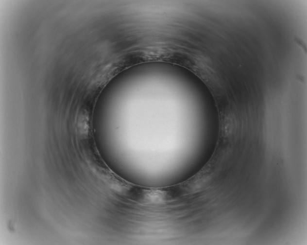 X0000099520226200805151533