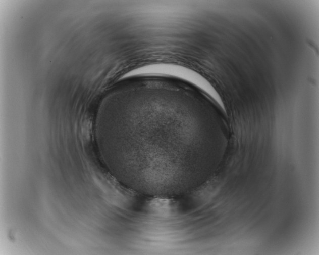 X0000099520227200805151533