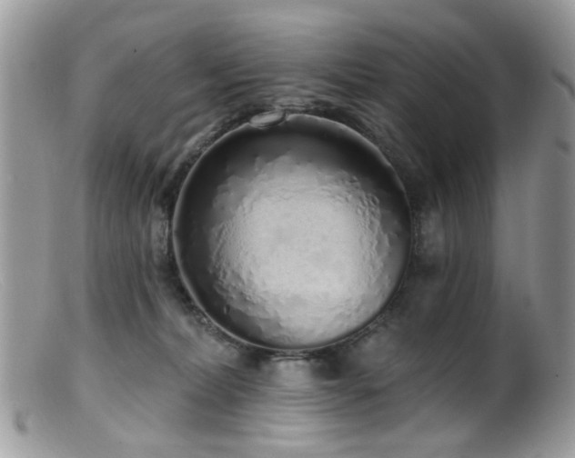 X0000099520228200805151533
