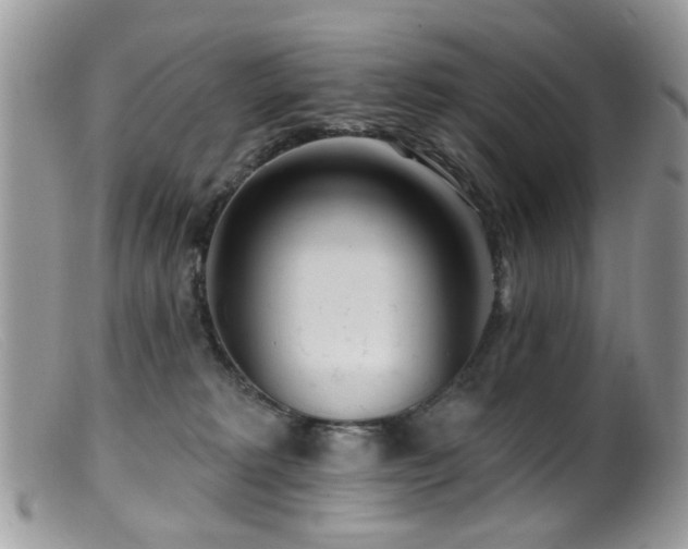 X0000099520229200805151533