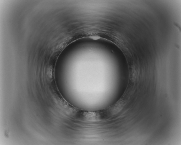 X0000099520230200805151533