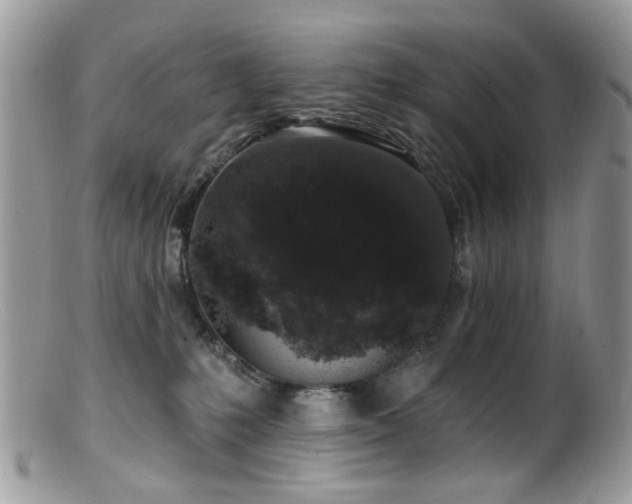X0000099520231200805151533