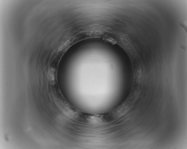 X0000099520232200805151533