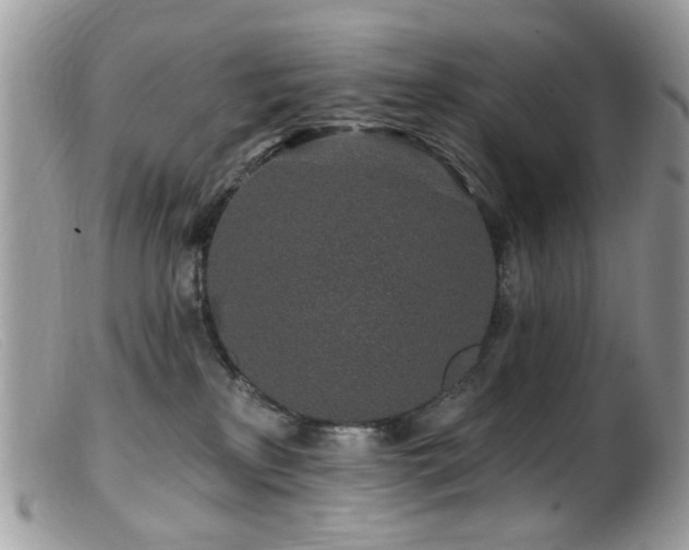 X0000099520233200805151533