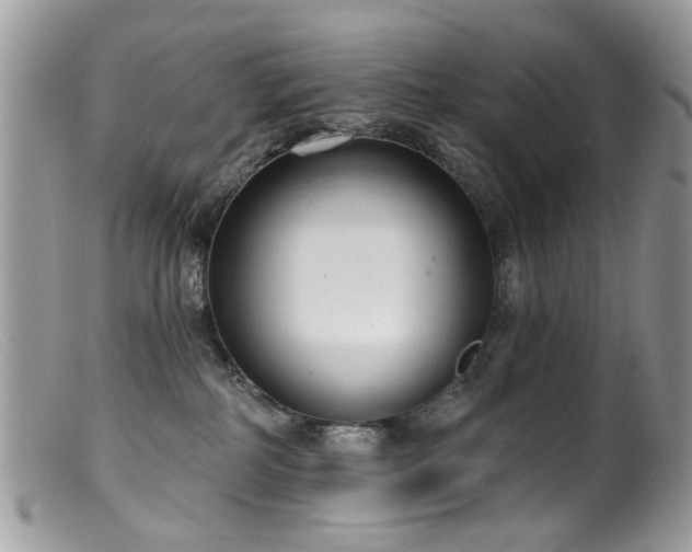 X0000099520234200805151533