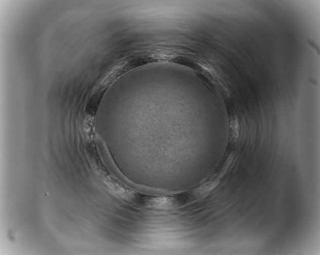 X0000099520237200805151533