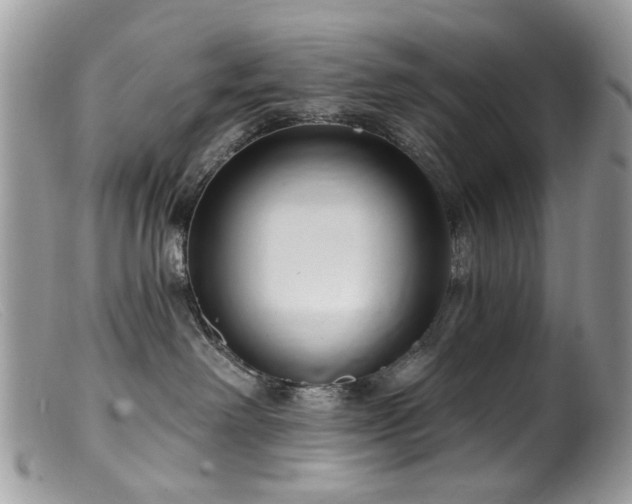 X0000099520238200805151533