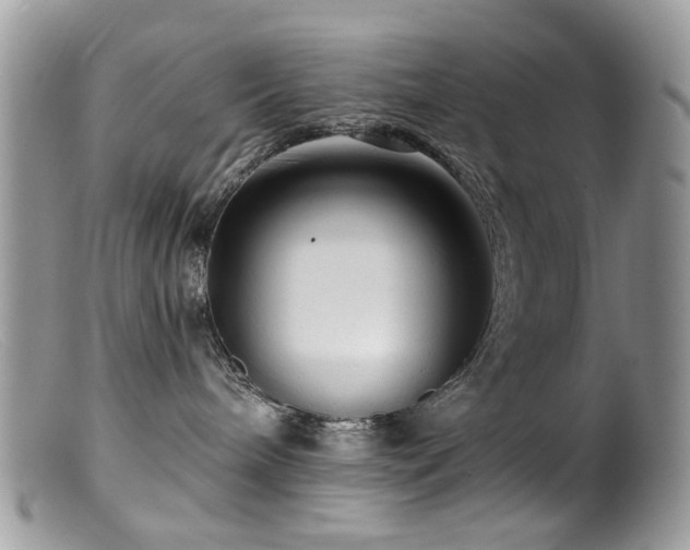 X0000099520240200805151533