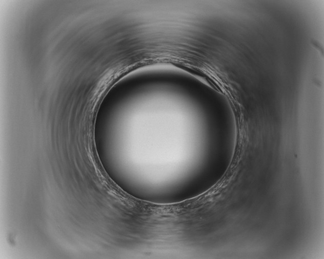 X0000099520241200805151532