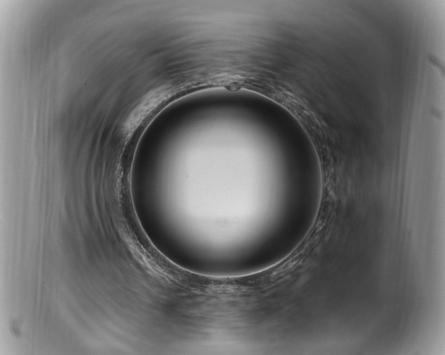 X0000099520242200805151532