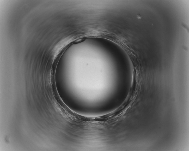 X0000099520244200805151532