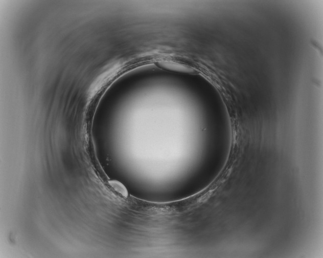 X0000099520245200805151532