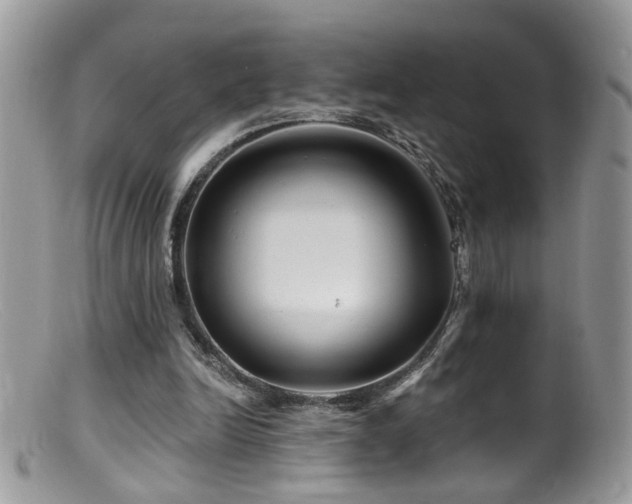 X0000099520246200805151532