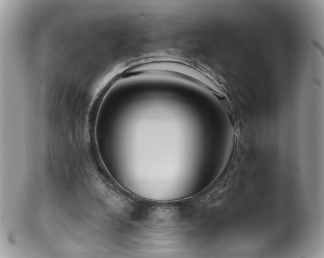 X0000099520248200805151532