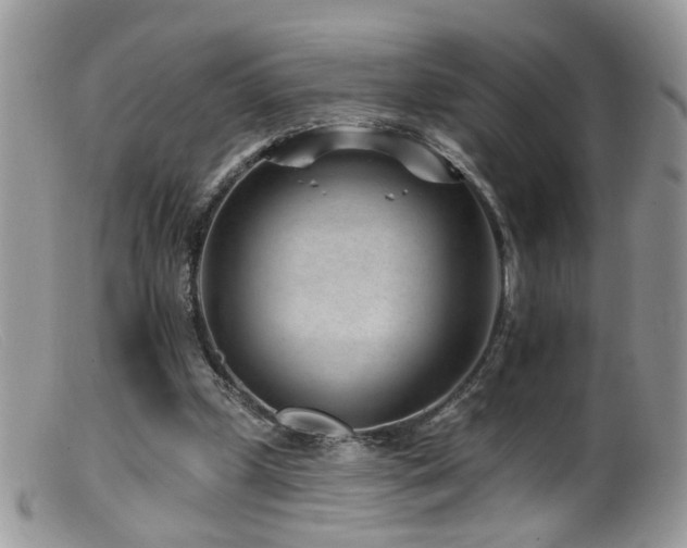 X0000099520249200805151532