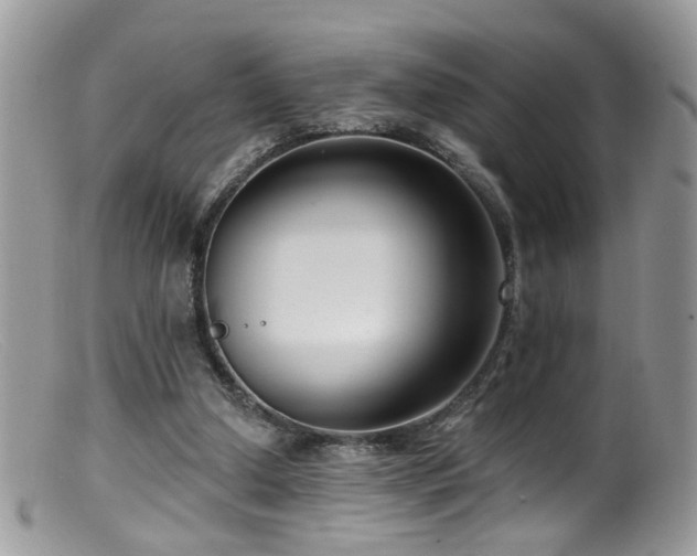 X0000099520250200805151532