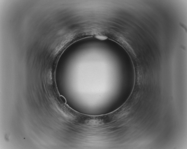 X0000099520251200805151532