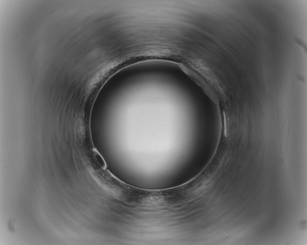 X0000099520252200805151532