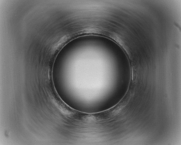 X0000099520253200805151532