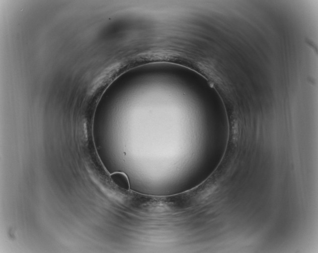 X0000099520254200805151532