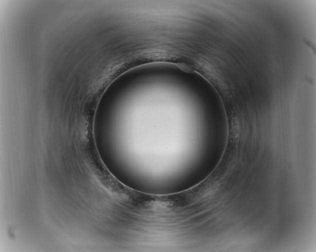 X0000099520255200805151532