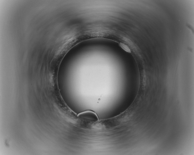 X0000099520258200805151532
