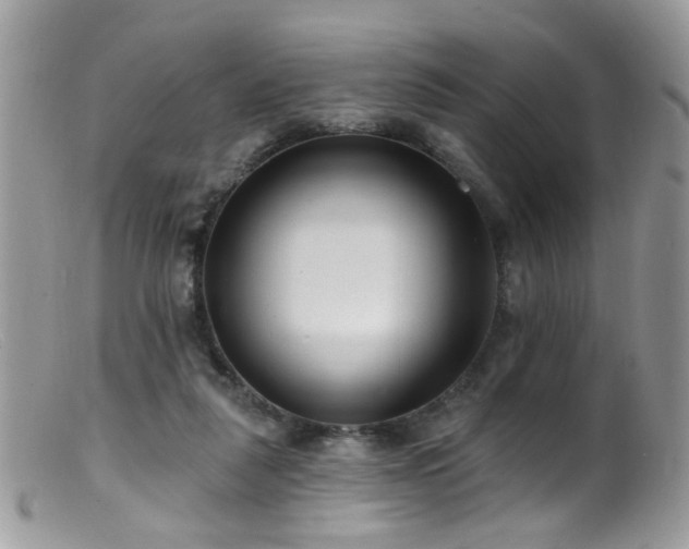 X0000099520259200805151532