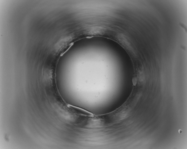 X0000099520260200805151532