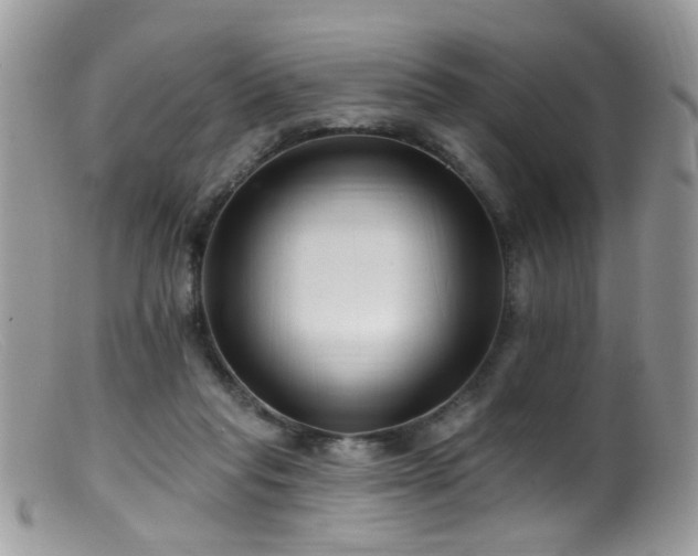 X0000099520261200805151532