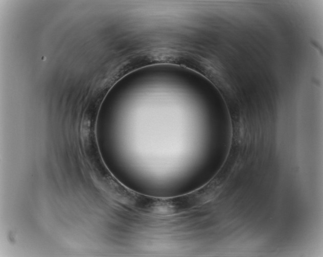X0000099520263200805151532
