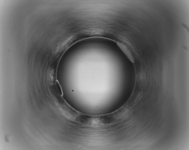 X0000099520264200805151533
