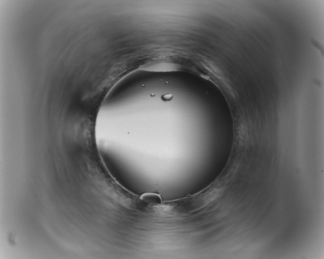 X0000099520265200805151533