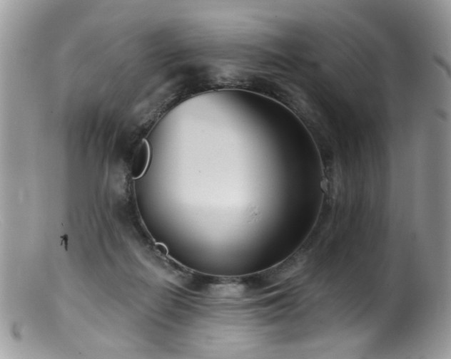 X0000099520266200805151533