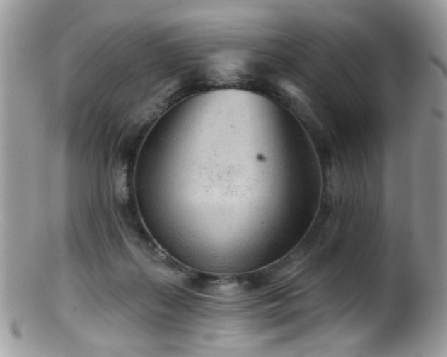 X0000099520267200805151533