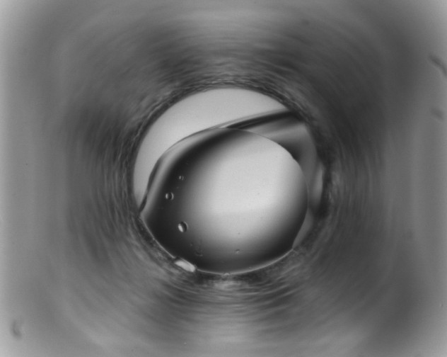 X0000099520268200805151533