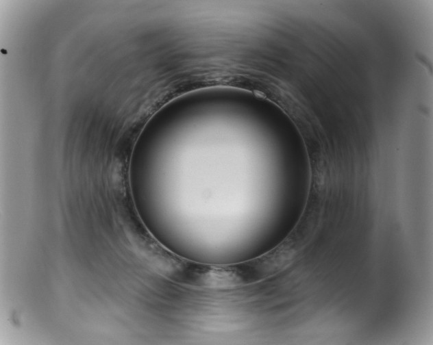 X0000099520270200805151533