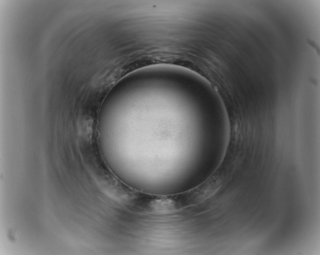 X0000099520271200805151533