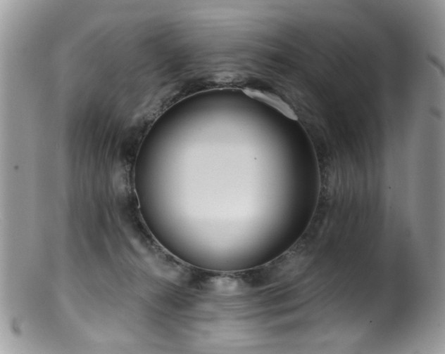 X0000099520272200805151533