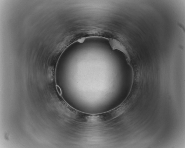 X0000099520273200805151533