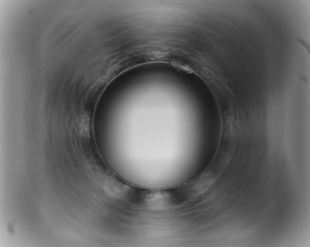 X0000099520274200805151533