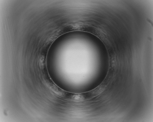 X0000099520275200805151533