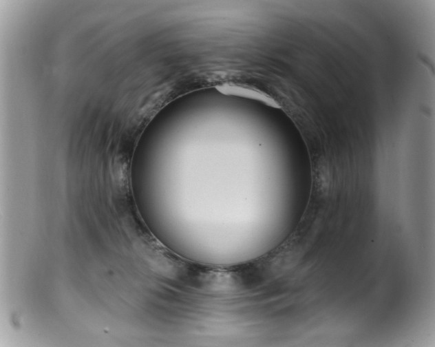 X0000099520276200805151533
