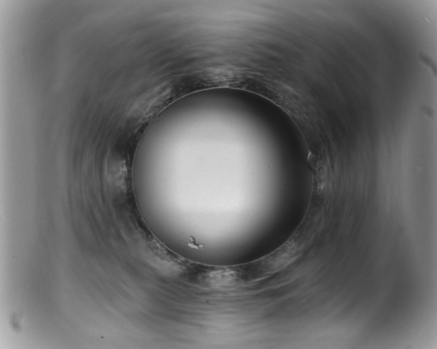 X0000099520279200805151533