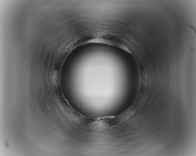 X0000099520280200805151533