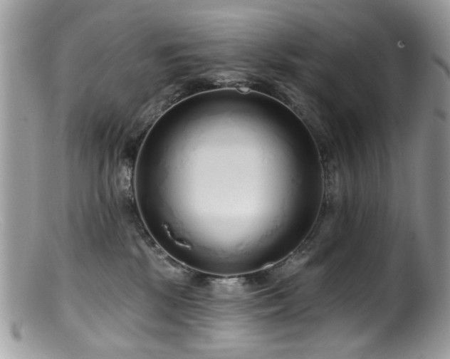 X0000099520281200805151533