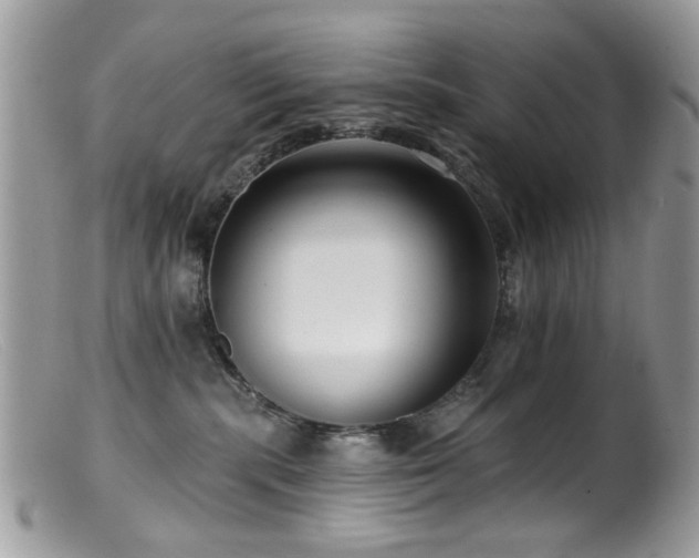 X0000099520283200805151533