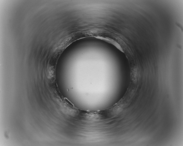 X0000099520284200805151533